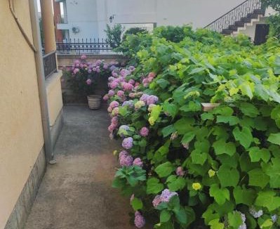 Zeljeznica Hotel | Apartmani590