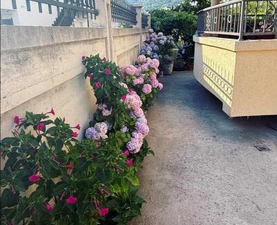 Zeljeznica Hotel | Apartmani590