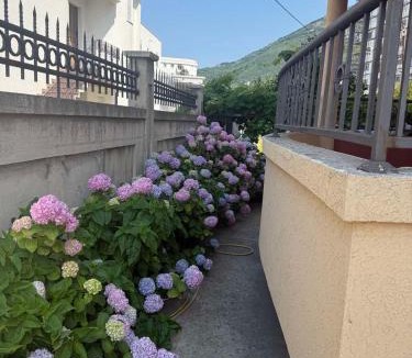 Zeljeznica Hotel | Apartmani590