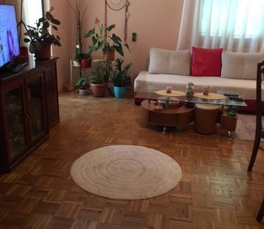 Golubovina Apartment | Apartmens Natasa