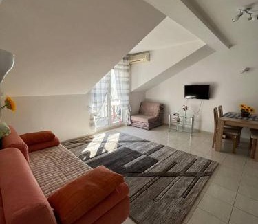 Maini Apartment | Apartment Azalea of Budva