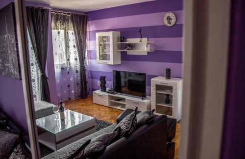 Centar Apartment | Apartment Branka