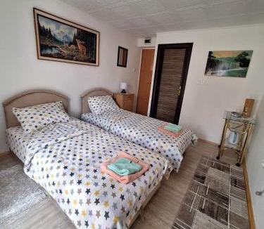 Pluzine Apartment | Apartment Buklija