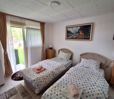 Pluzine Apartment | Apartment Buklija