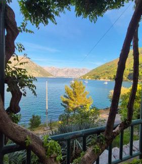Donji Morinj Apartment | Apartment Capt Seferovic