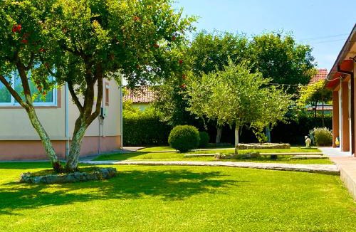 Bijelo Polje Municipality Apartment | Apartment Helena Airport