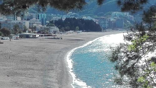 Becici Apartment | Apartment-Hotel Vila Petrovic-Becici