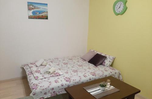 Golubovina Apartment | Apartment in CENTER of Budva
