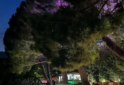 Zelenika Apartment | Apartment Jelaca