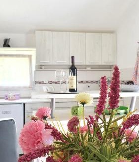 Radanovici Apartment | Apartment Jelena Sutvara