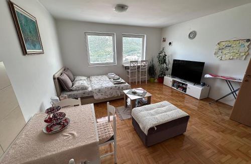 Pluzine Apartment | APARTMENT JOVOVIC