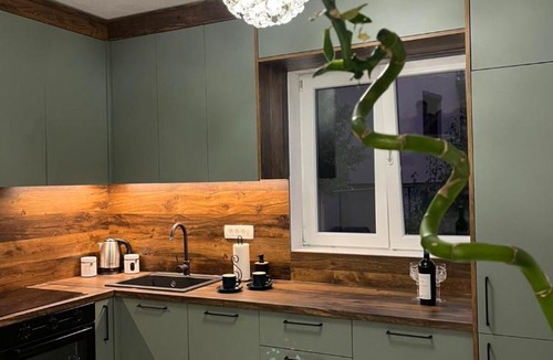 Pluzine Apartment | Apartment Majestic