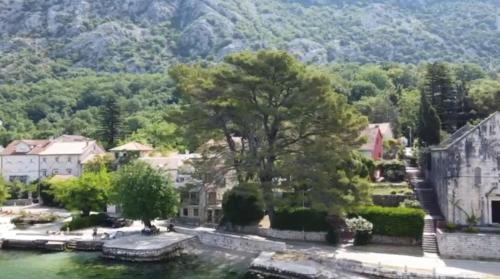 Dobrota Apartment | Apartment on the shore of the bay of Kotor with free Wi-Fi