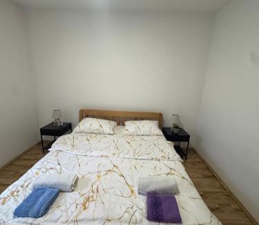 Pluzine Apartment | Apartment Pantovic