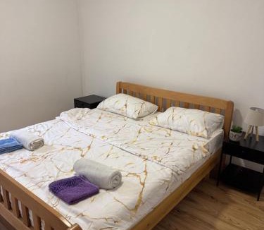 Pluzine Apartment | Apartment Pantovic