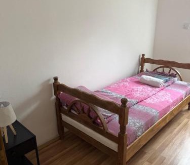 Pluzine Apartment | Apartment Pantovic