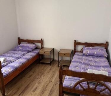 Pluzine Apartment | Apartment Pantovic