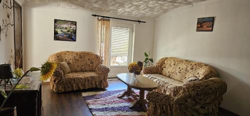 Pluzine Apartment | Apartment Relax