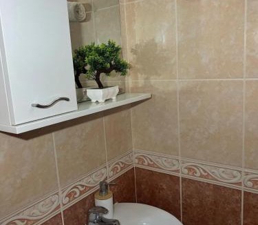 Radovici Apartment | Apartment Stegic 1