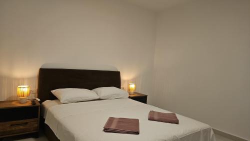 Maini Apartment | Apartment Under the Palm Tree II