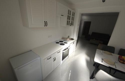 Maini Apartment | Apartment Under the Palm tree III
