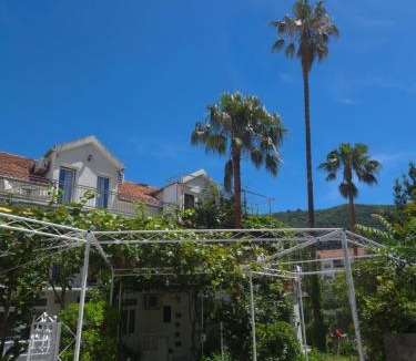 Maini Apartment | Apartment Under the Palm tree III