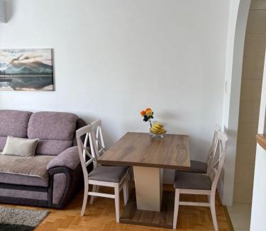 Pluzine Apartment | Apartment Varezić
