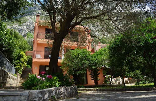 Dobrota Apartment | Apartment with garden