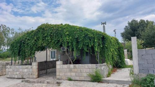 Mahala Apartment | Apartments Airport Golubovci
