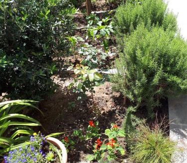 Sutomore Apartment | Apartments Brežanin