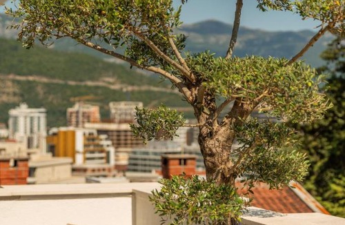 Babin do Apartment | Apartments Captain's Villa