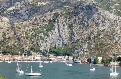 Kotor Apartment | Apartments Darija