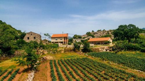 Karuc Apartment | Apartments EcoNature