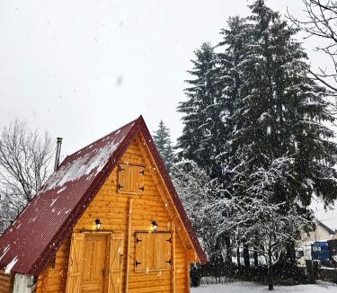 Drijenak House | Apartments Homeland