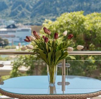 Kotor Apartment | Apartments Los Olivos