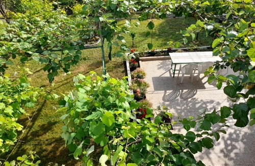 Boreti Apartment | Apartments Marina