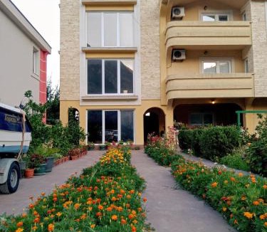 Bar Apartment | Apartments Old Olive