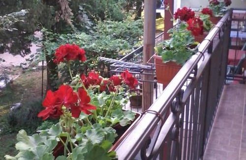 Virpazar Apartment | Apartments Olga