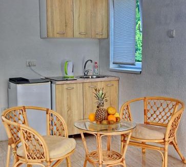 Dobrota Apartment | Apartments Sea Star