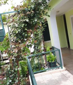 Petrovac Apartment | Apartments Simo