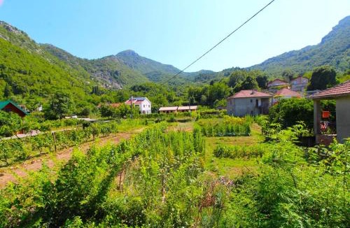 Karuc House | Apartments Stevan