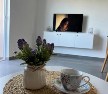 Prijevor Apartment | Apartments Tijana