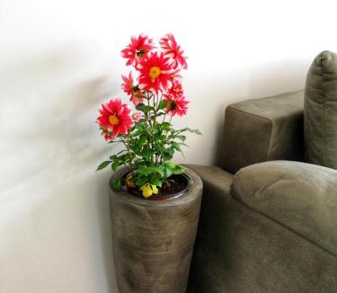 Tomicici Apartment | Apartments Tivat