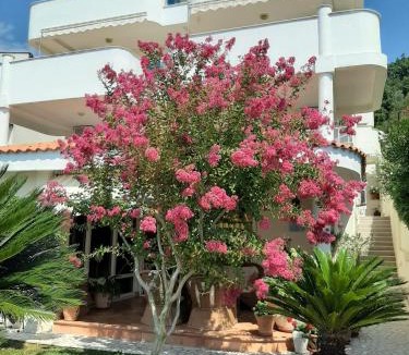 Sutomore Apartment | Apartments Villa Mare Mar