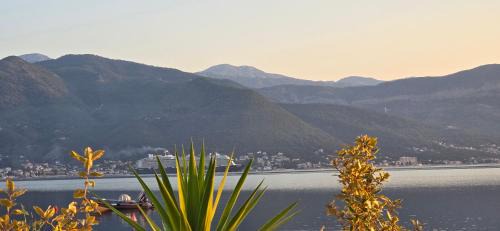 Krasici Apartment | Apartments Villa Sonja