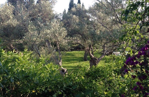 Susanj Apartment | Apartments with a big terrace & swimming pool - 5 min to the beach