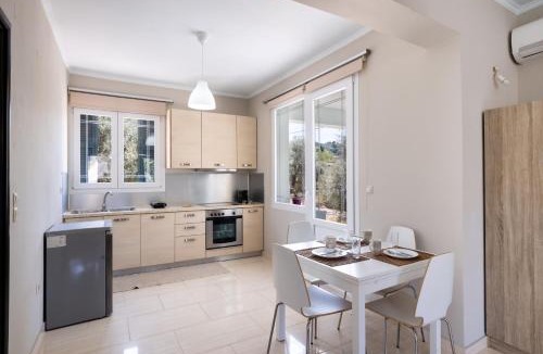 Apolpaina Apartment | Apricus1