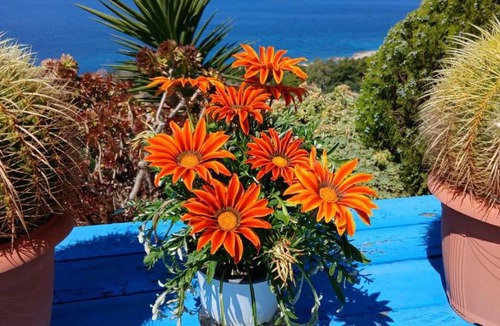Argostoli Town Apartment | ARGOSTOLI sunset