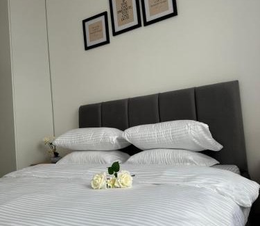Kolovicë Apartment | Ariacityview