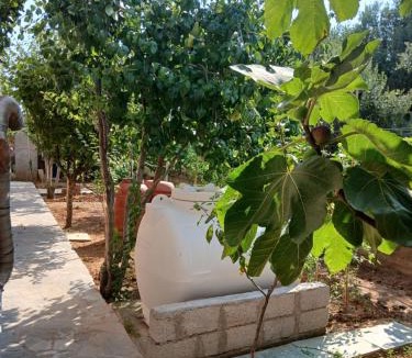 Nea Propontida Villa | Artemis Villa
